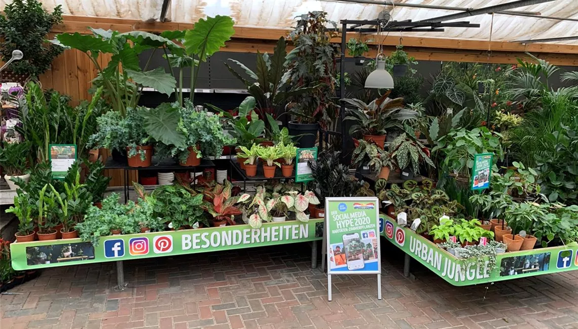 Urban Jungle Gartencenter Holland