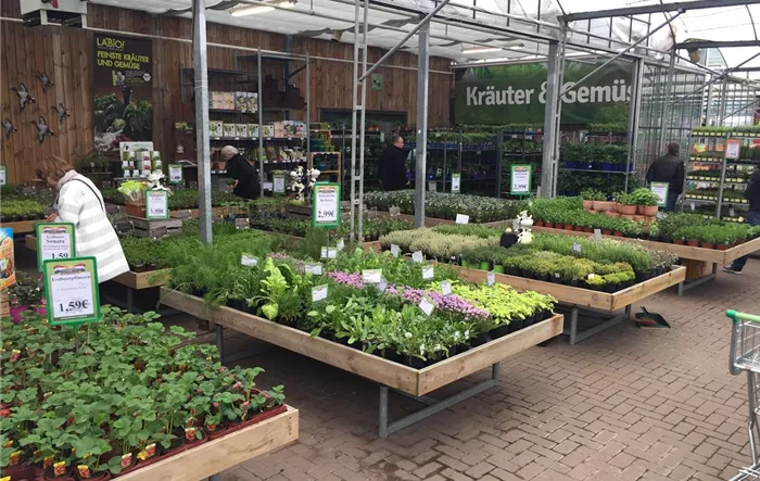 Kräuter Gartencenter Holland