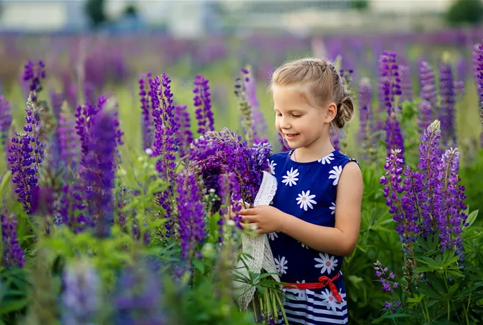AdobeStock_346148449.jpeg