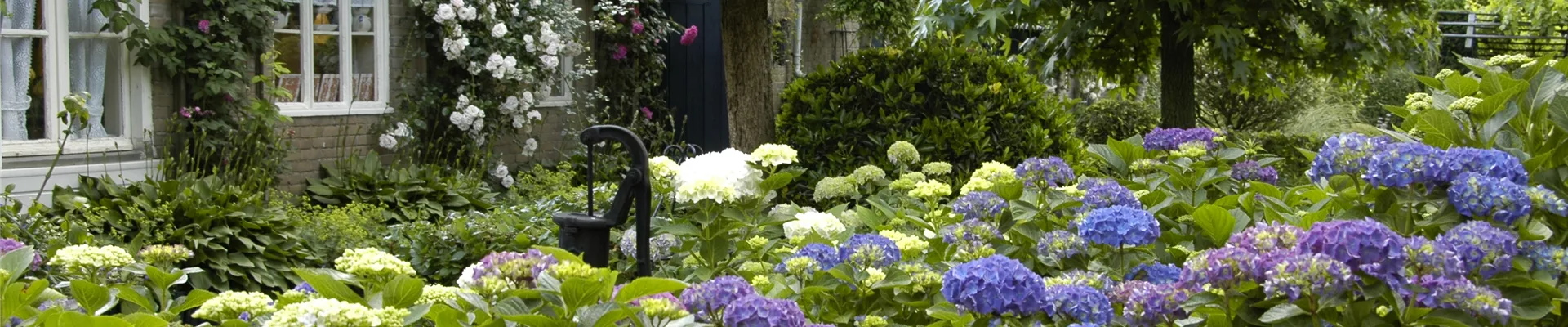 GS619916.jpg GS619916.jpg