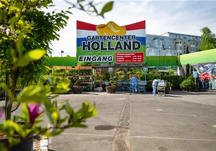 GC_MaerkischesViertel_250429_DSC1490.jpg