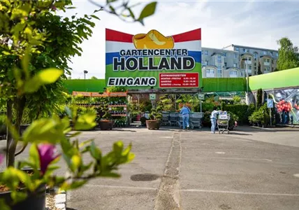 Märkisches Viertel Märkisches Viertel