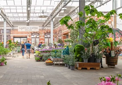 Schwanebeck - Holland-Park