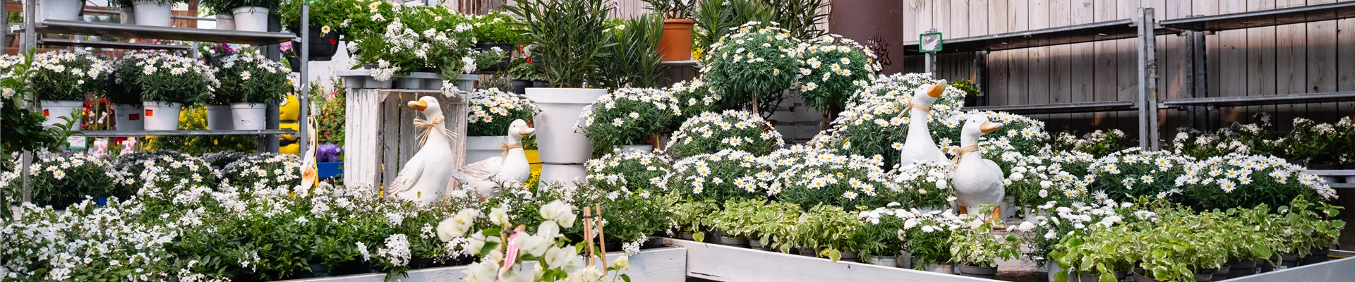 GC_MaerkischesViertel_250429_DSC1608.jpg GC_MaerkischesViertel_250429_DSC1608.jpg