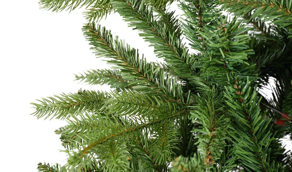 Allison_Kiefer_allgemein_Nadel.jpg Allison_Kiefer_allgemein_Nadel.jpg