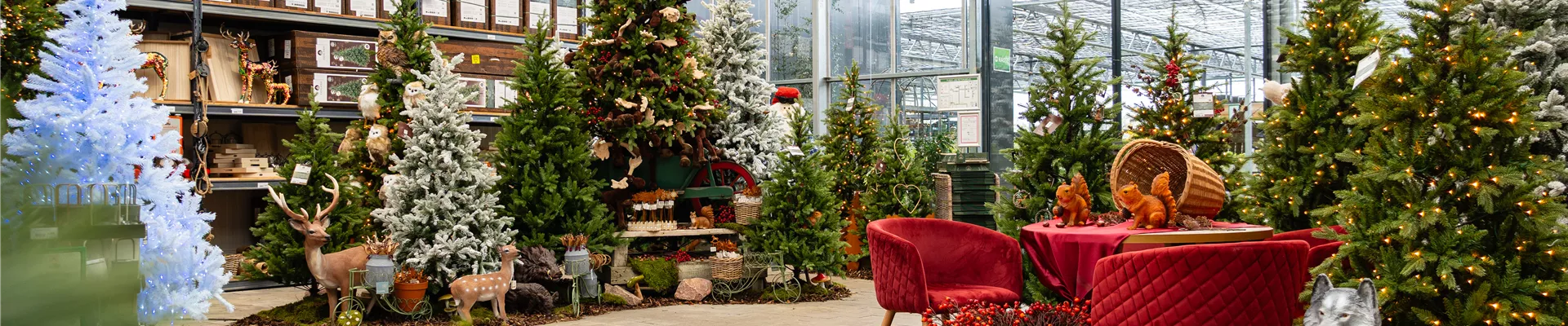 GC_Weihnachtswelt_251024_DSC09766.jpg GC_Weihnachtswelt_251024_DSC09766.jpg