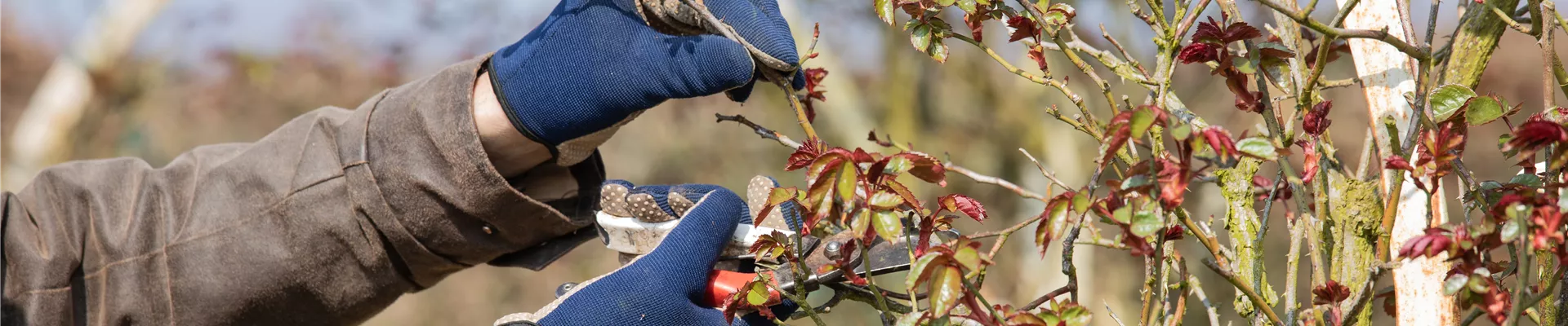 GS620148.jpg GS620148.jpg