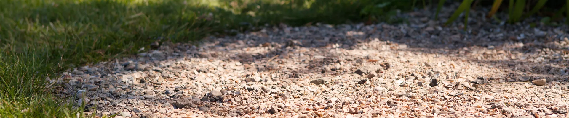 GS408125.jpg GS408125.jpg