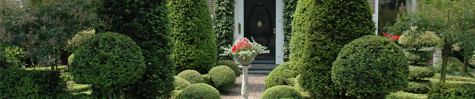 GS615069.jpg GS615069.jpg