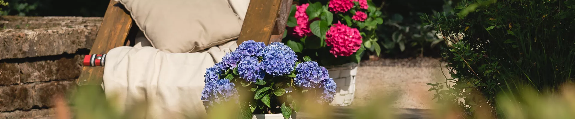 GS589381.jpg GS589381.jpg