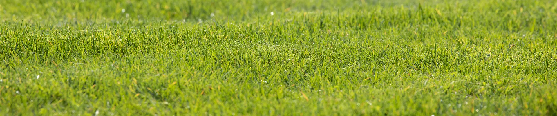 GS620194.jpg GS620194.jpg