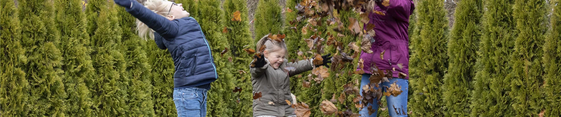 GS597950.jpg GS597950.jpg