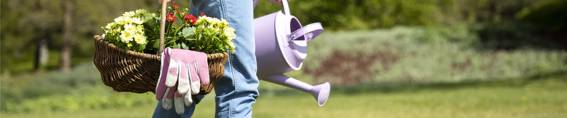 GS619862.jpg GS619862.jpg