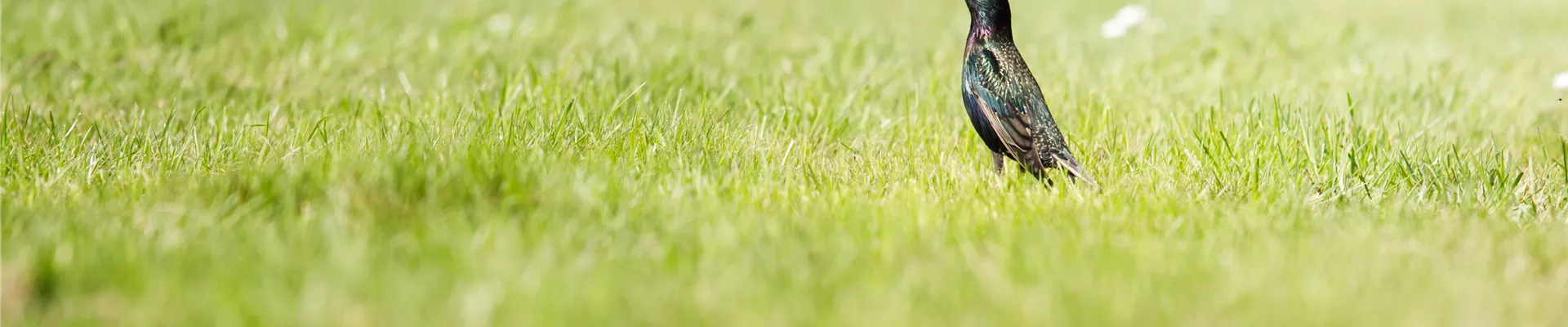 GS534514.jpg GS534514.jpg