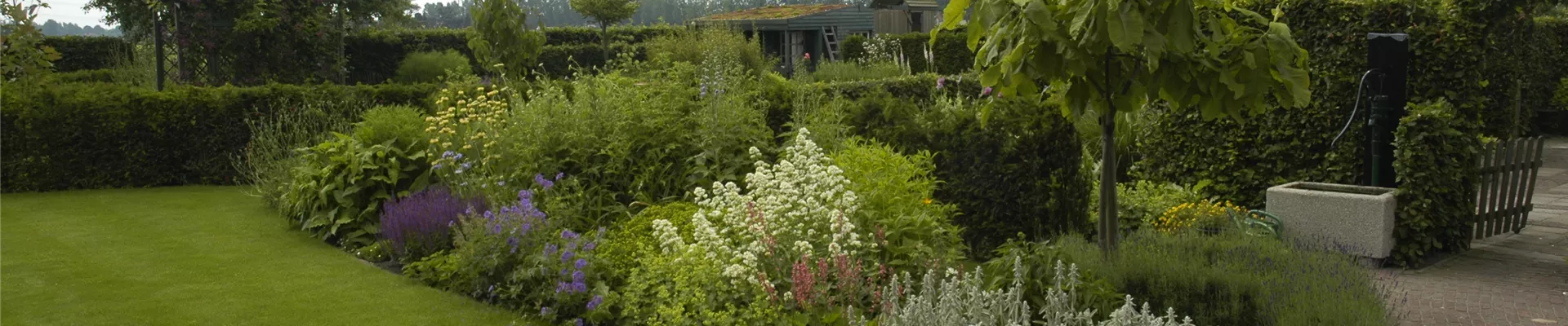 GS619970.jpg GS619970.jpg