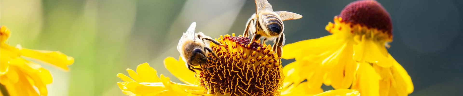 GS654405.jpg GS654405.jpg