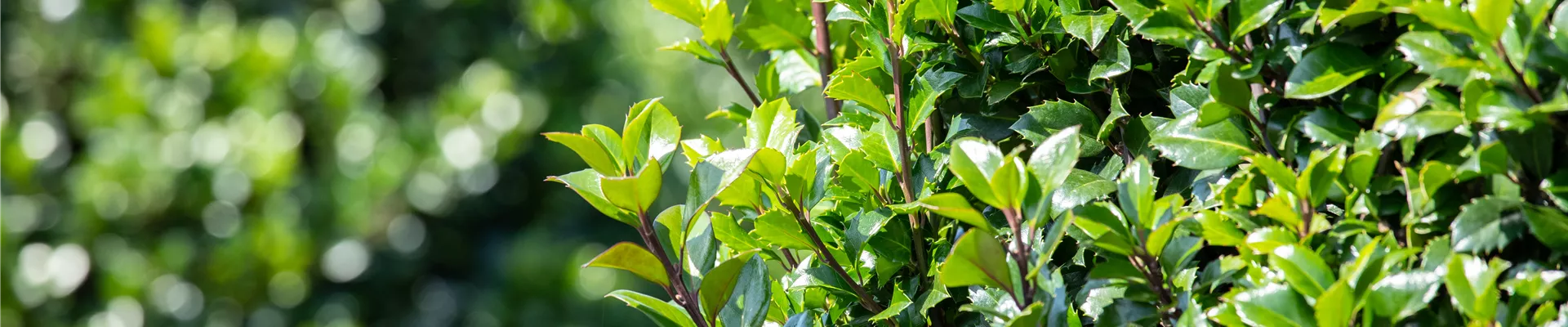 GS649591.jpg GS649591.jpg