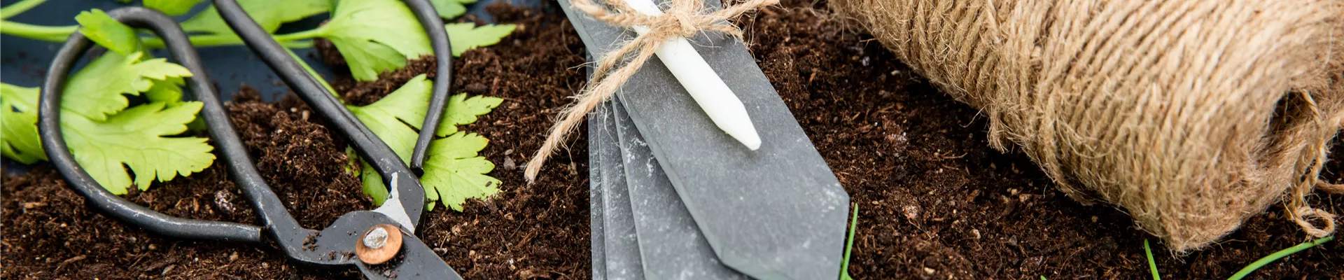 GS661962.jpg GS661962.jpg