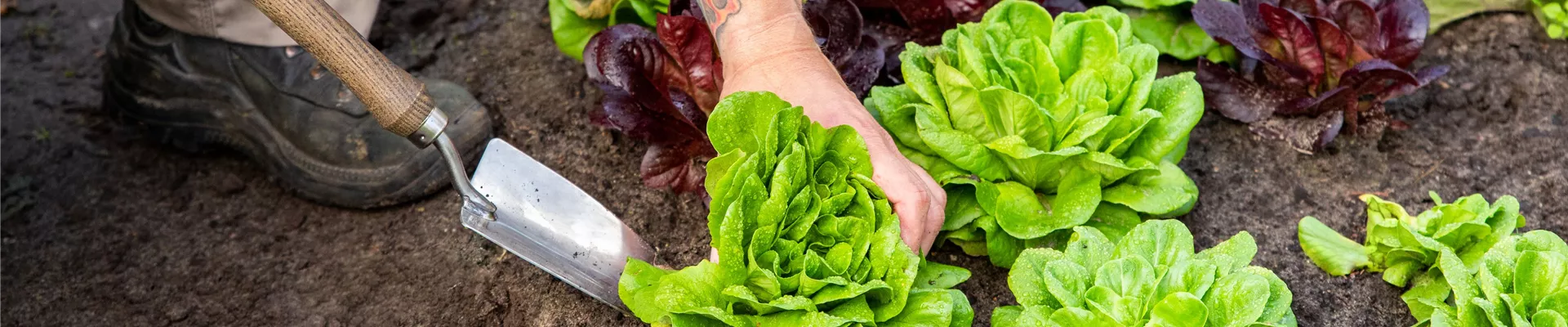 GS693009.jpg GS693009.jpg