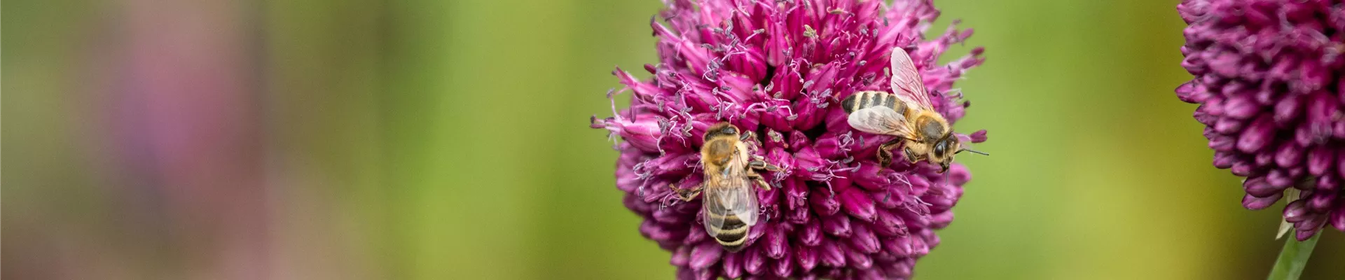 GS669449.jpg GS669449.jpg