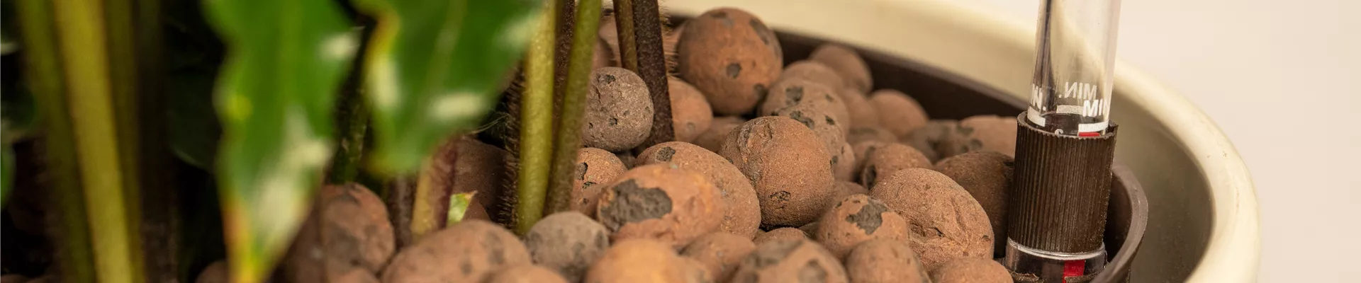 GS644913.jpg GS644913.jpg