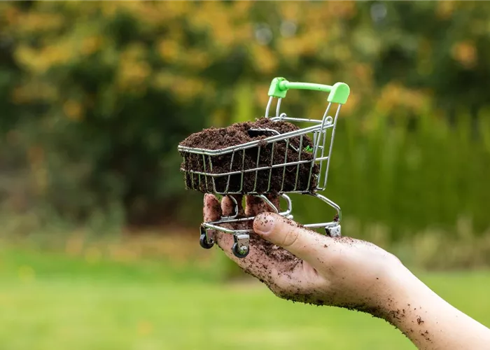 Corona Infos Corona Infos