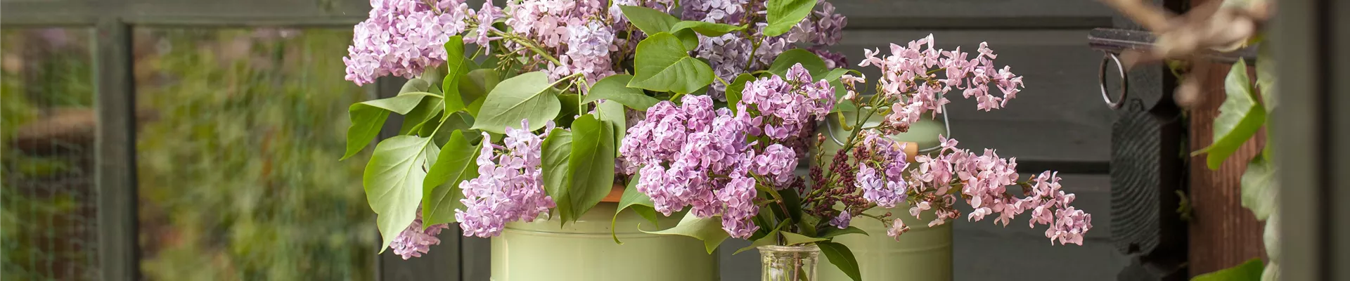 GS529728.jpg GS529728.jpg